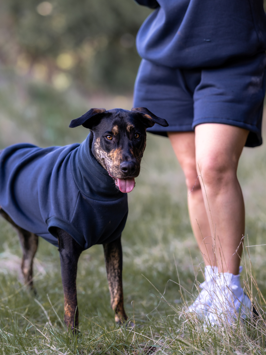 Charcoal Hooman Sweatshorts