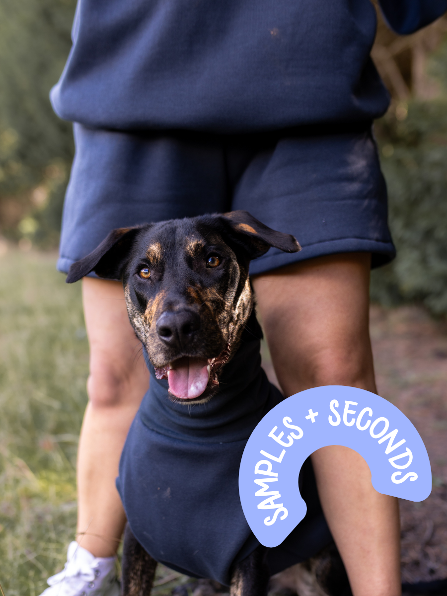 M Human SWEATSHORTS - Ready to Ship Charcoal Shorts