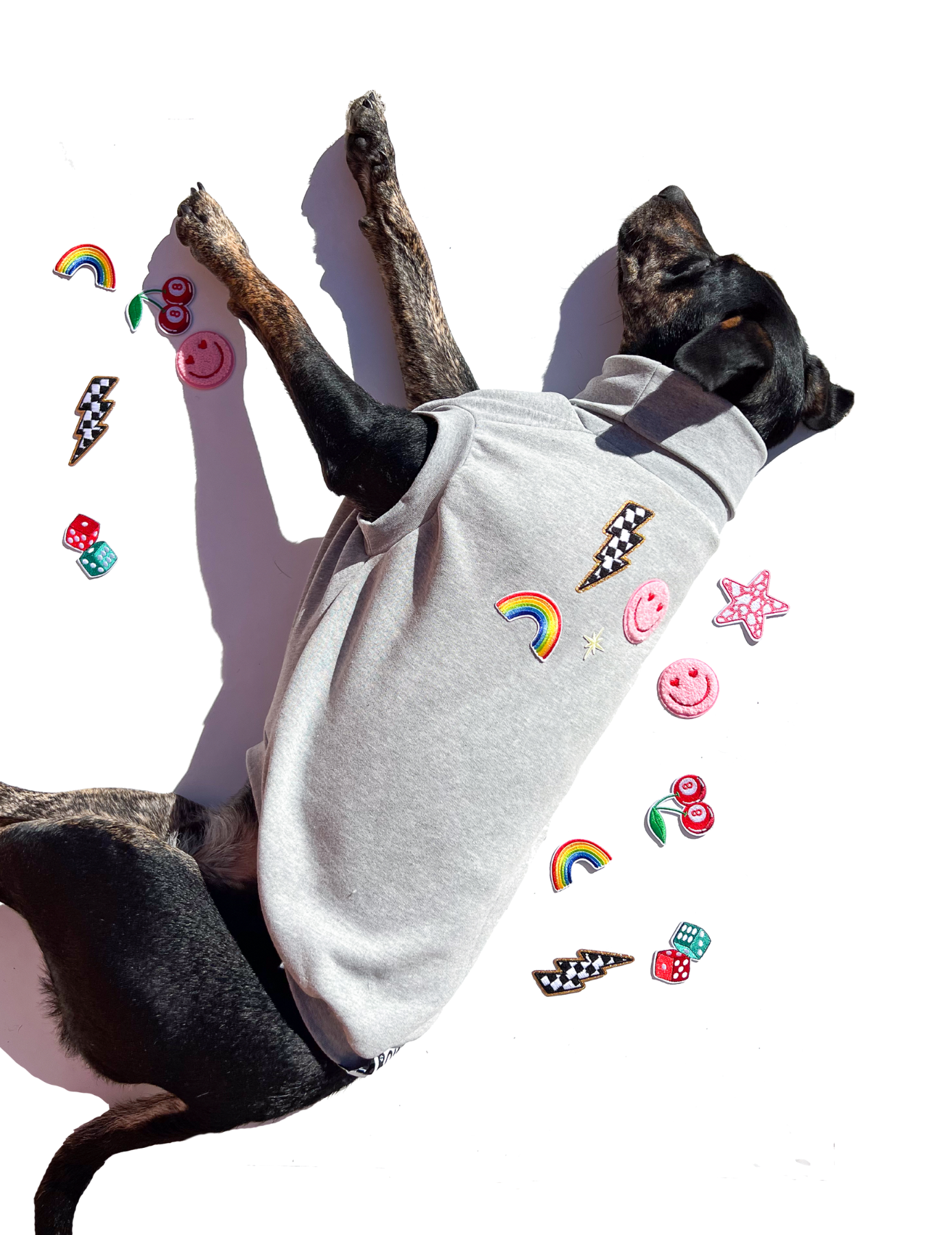 DIY Iron Patch Dog Sweater