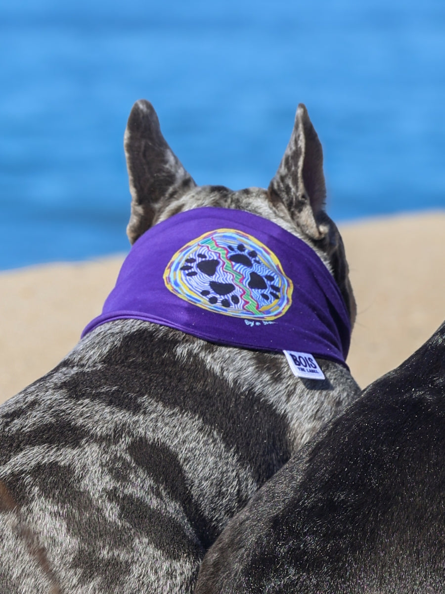 Paws Art Dog Bandana - by Byron Boehm