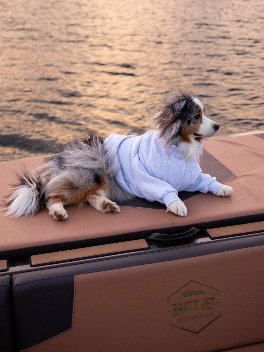 Sedona Quarter Zip Dog Sweater