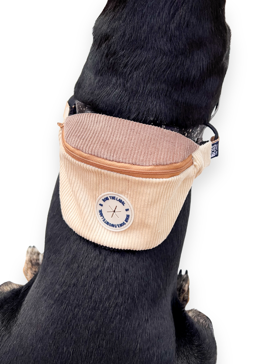 Doggy Bumbag - Cream Corduroy Colourblock