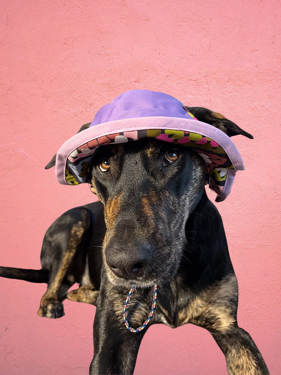 Crochet Print Dog Reversible Bucket Hat