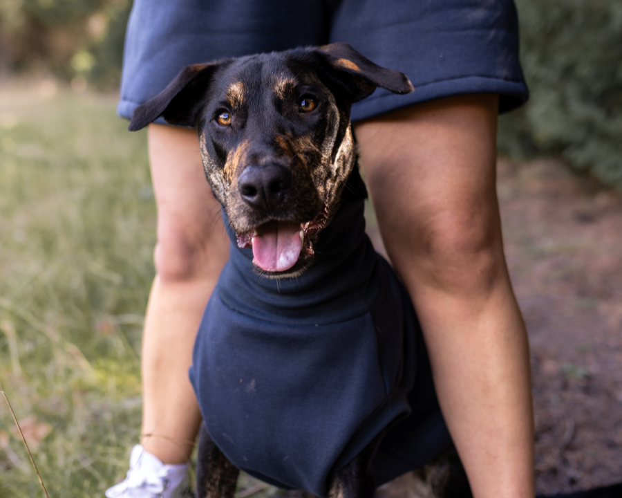 Charcoal Hooman Sweatshorts