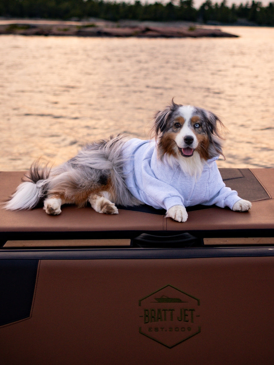 Sedona Quarter Zip Dog Sweater