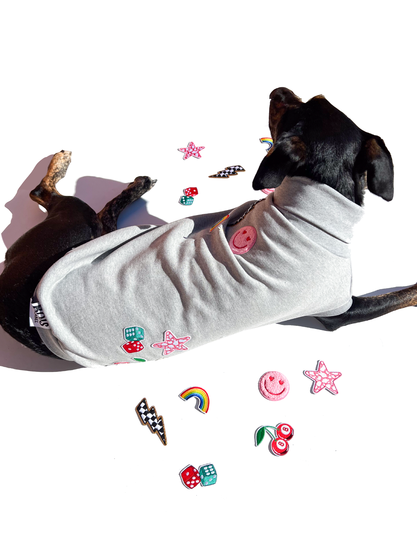 DIY Iron Patch Dog Sweater