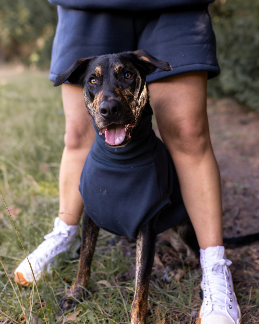 Charcoal Sleeveless Dog Turtleneck