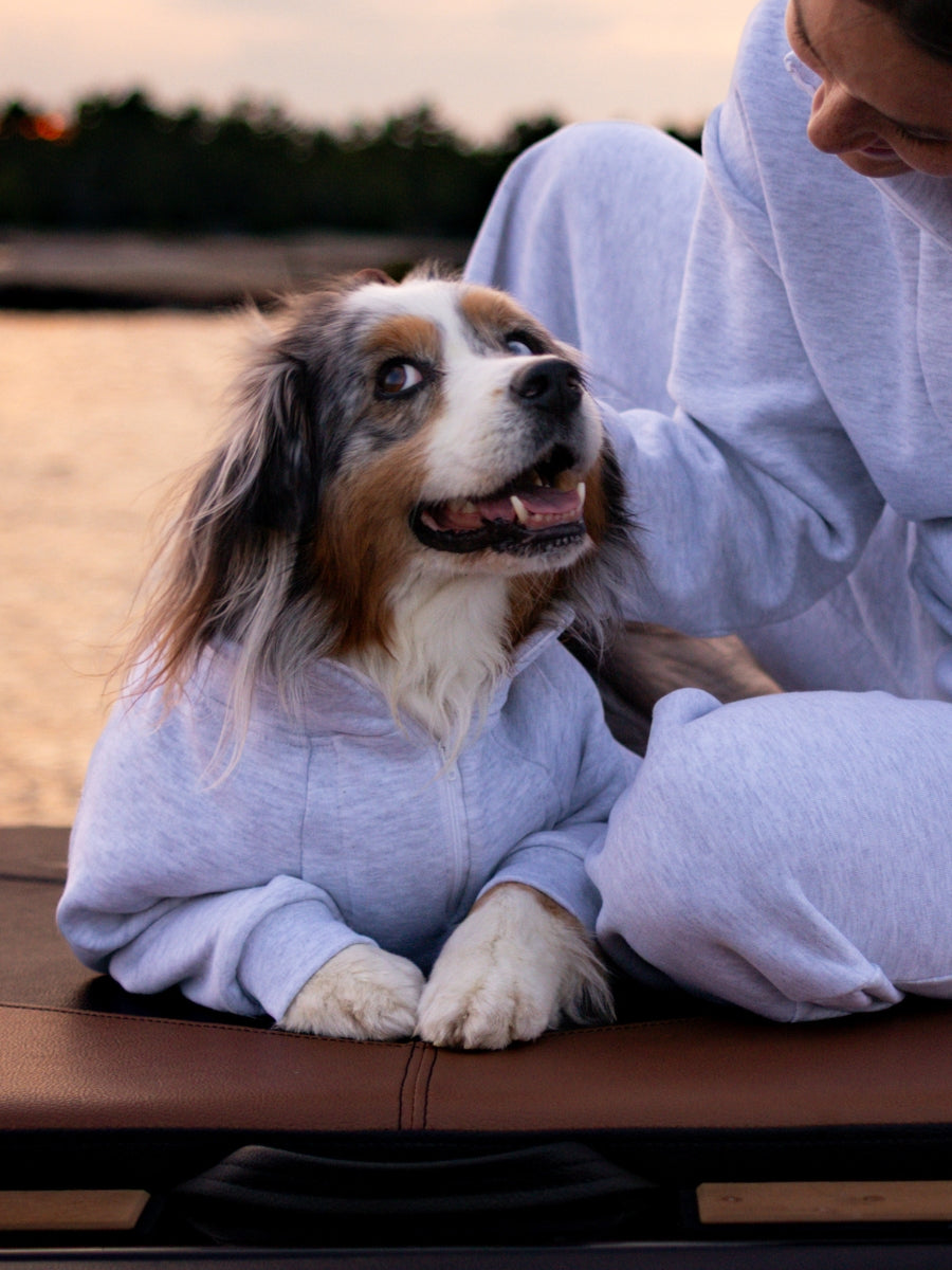 Sedona Quarter Zip Dog Sweater