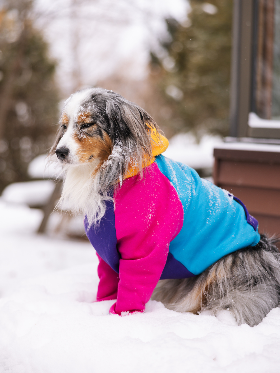 Saved by the Bois 2.0 Dog Hoodie