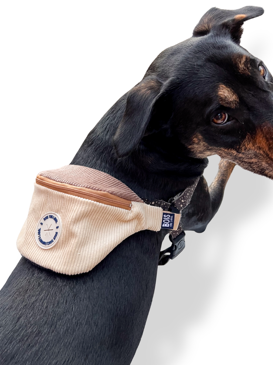 Doggy Bumbag - Cream Corduroy Colourblock