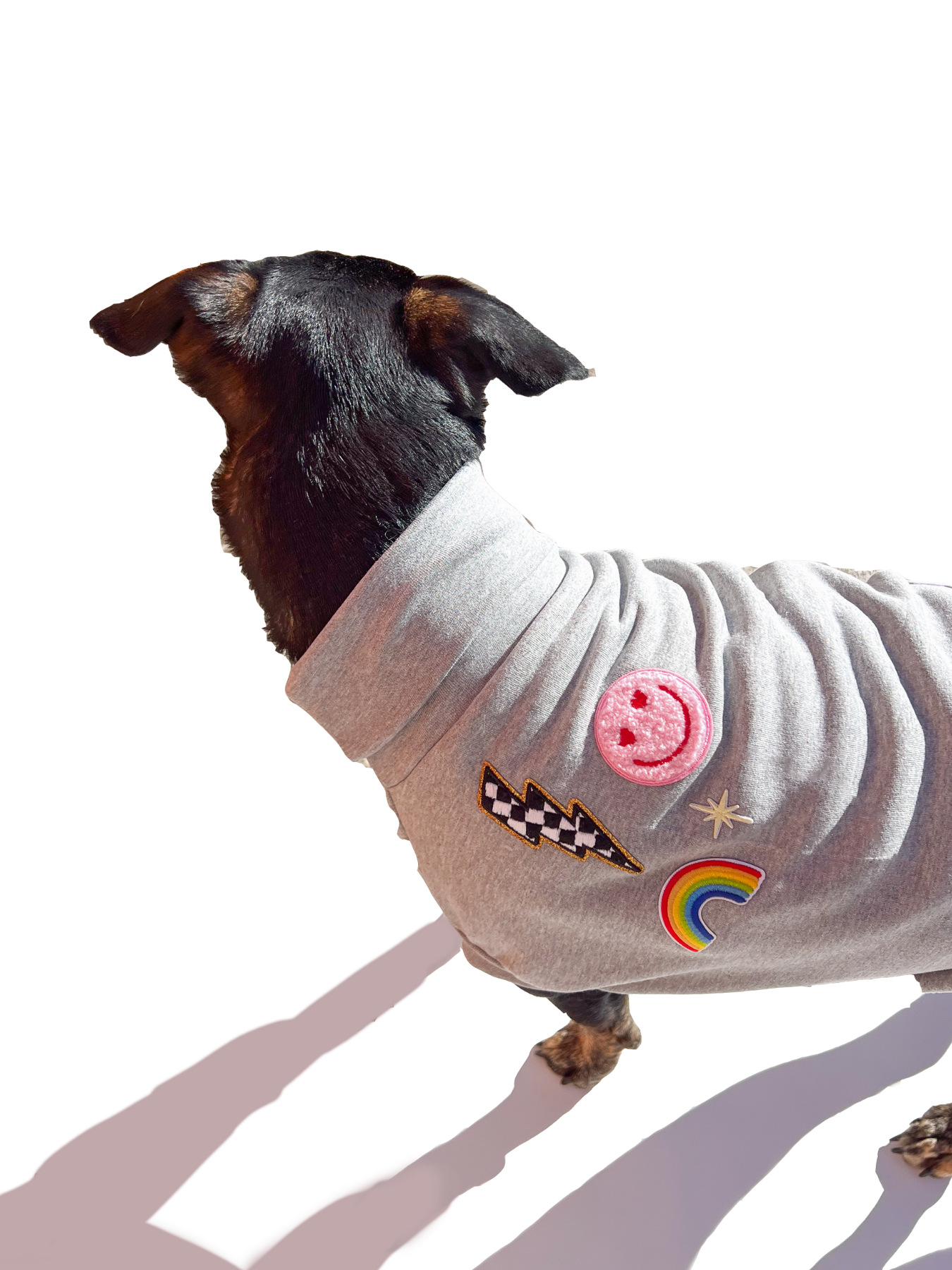 DIY Iron Patch Dog Sweater