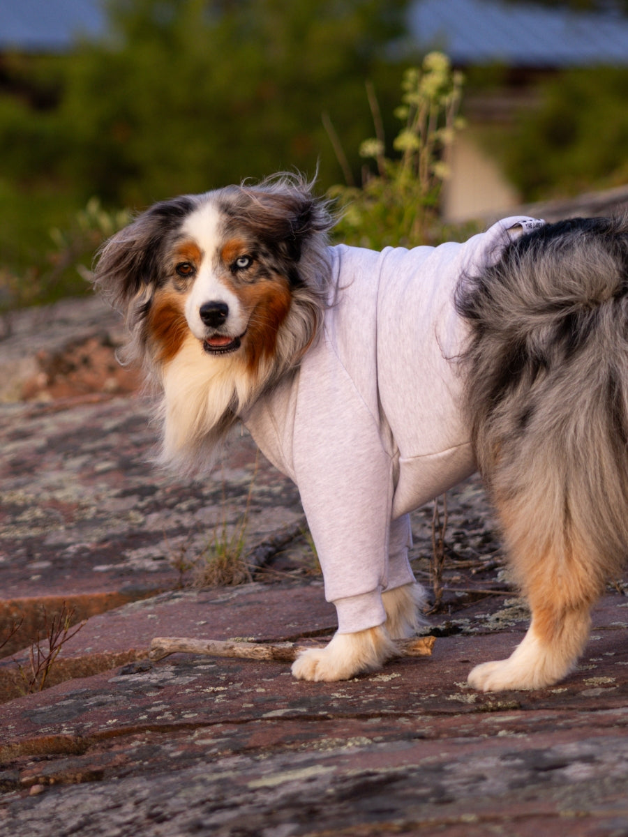 Sedona Quarter Zip Dog Sweater