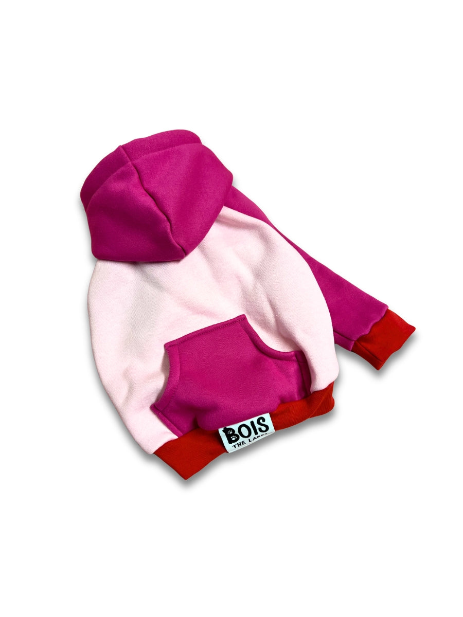 Pink Colorblock Valentines Dog Hoodie 2XS - READY TO SHIP
