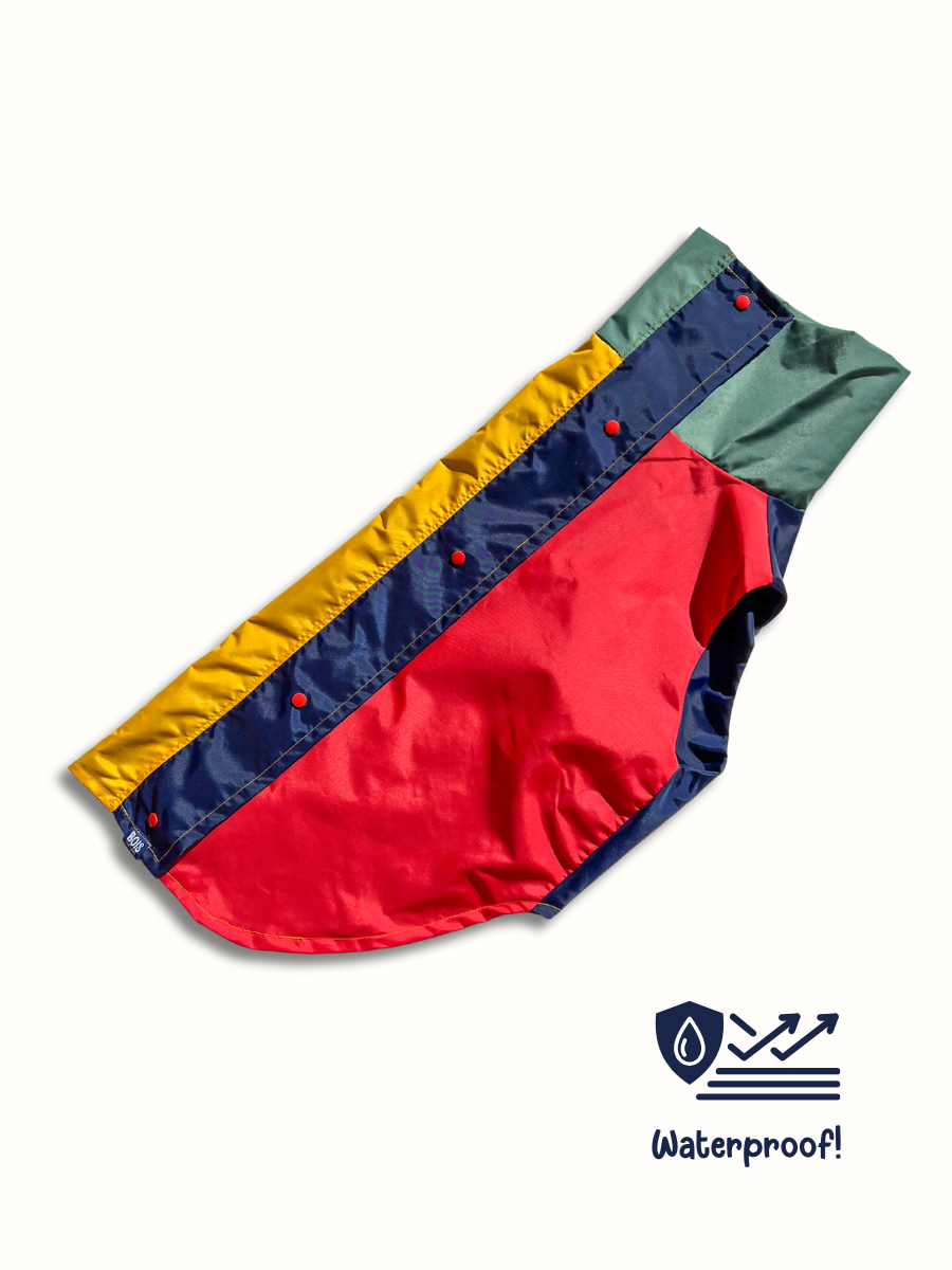 Colorblock Waterproof Dog Raincoat