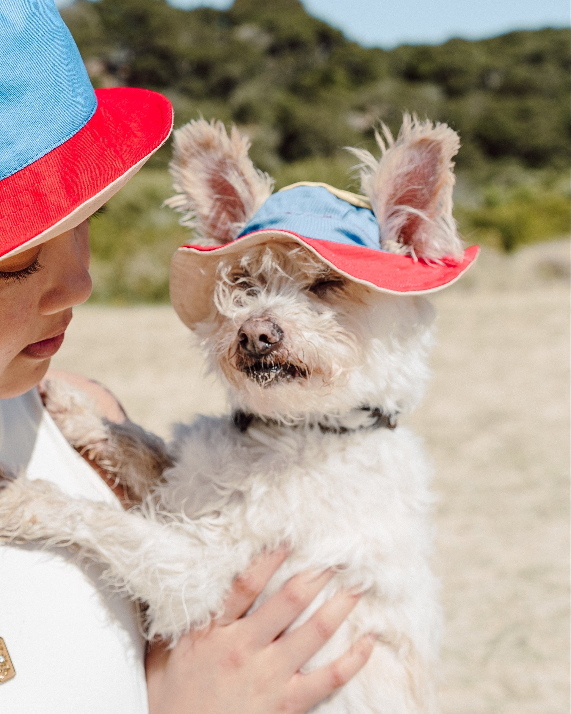 Woman holding a dog on a beach with both wearing colorful hats.