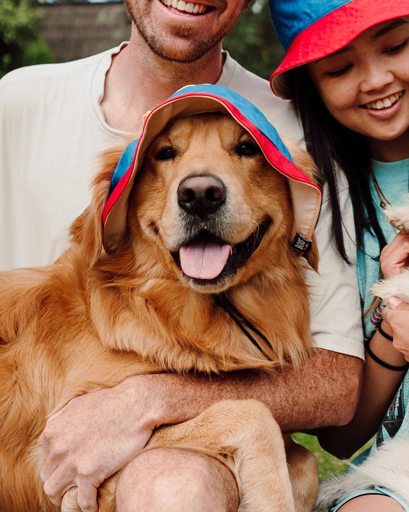 Two people sitting outdoors with two dogs, all wearing colorful hats.