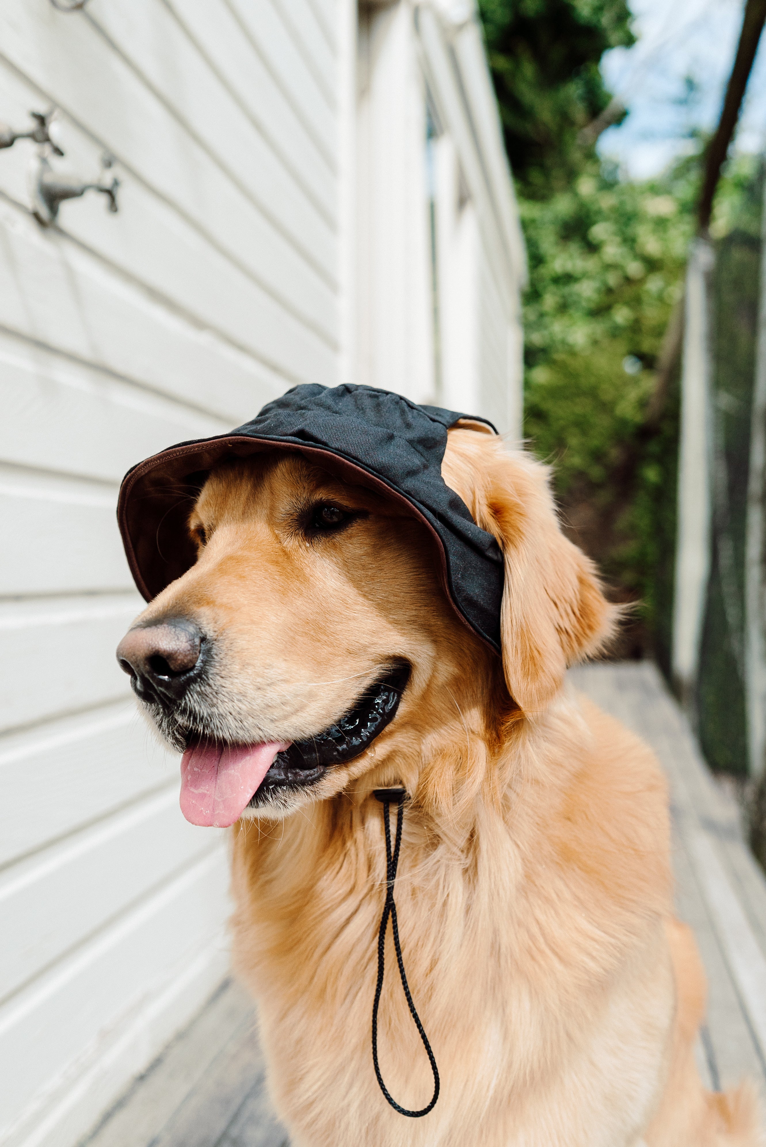 Nude Colorblock Reversible Dog Bucket Hat