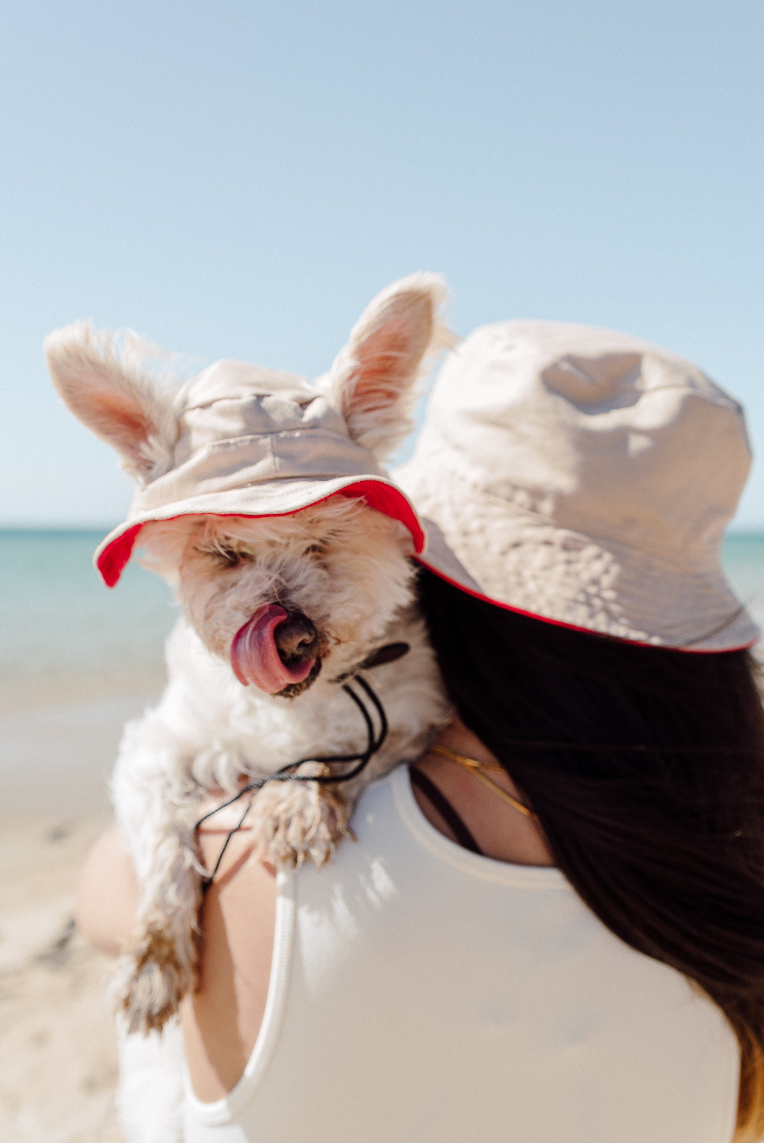Matching Dog and Owner 90s Reversible Bucket Hats