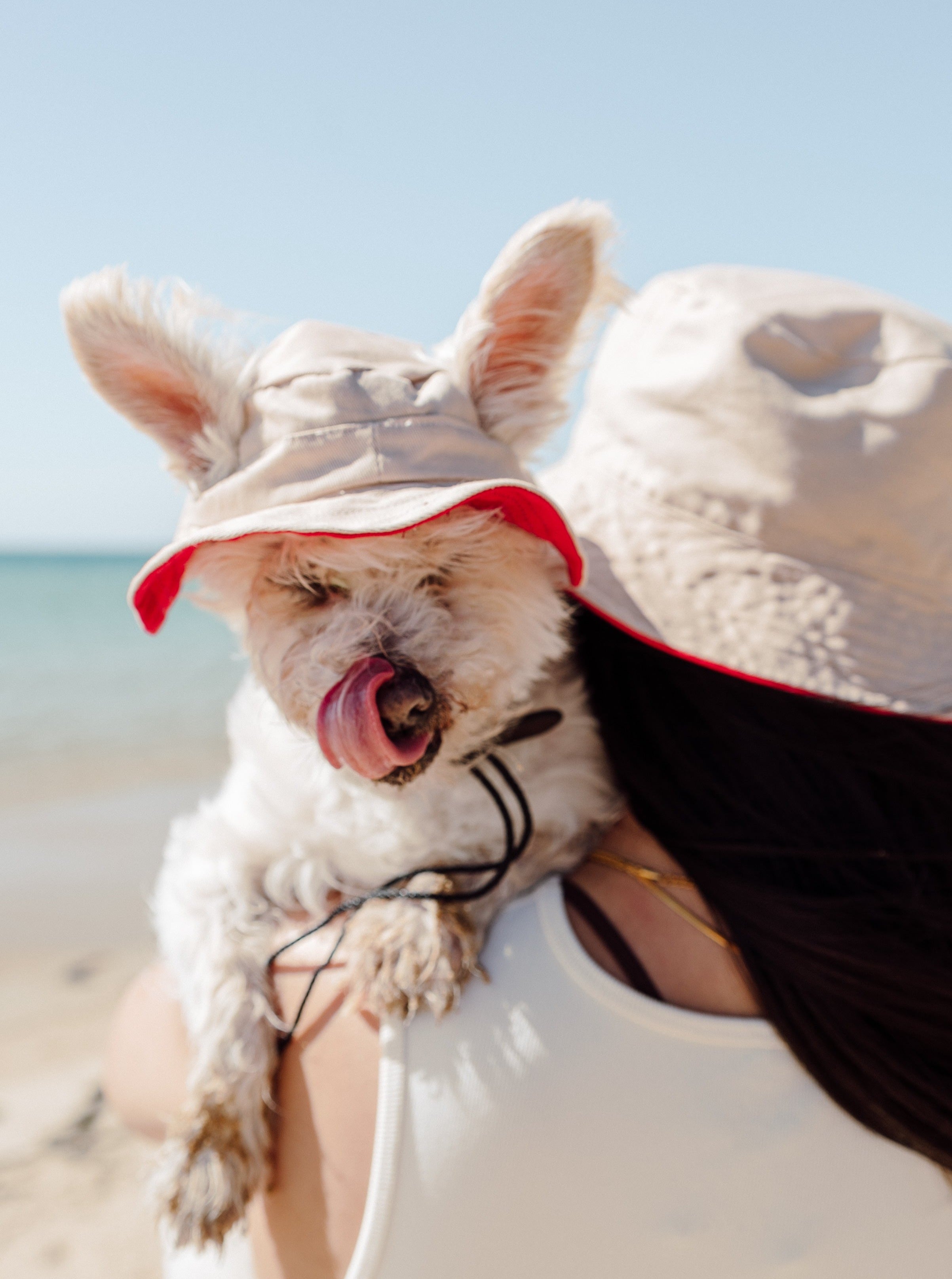 90s Colorblock Reversible Dog Bucket Hat