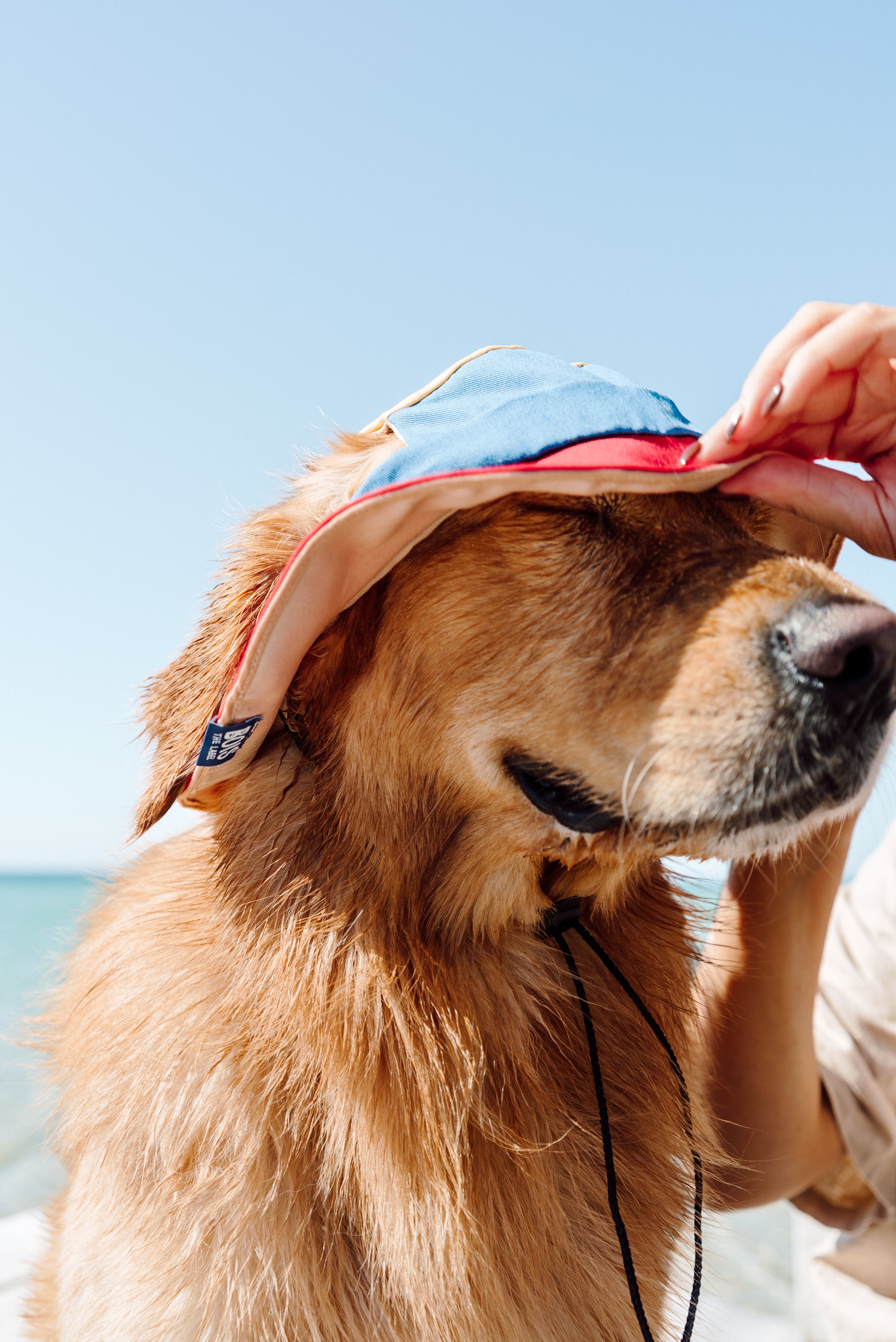 90s Colorblock Reversible Dog Bucket Hat1