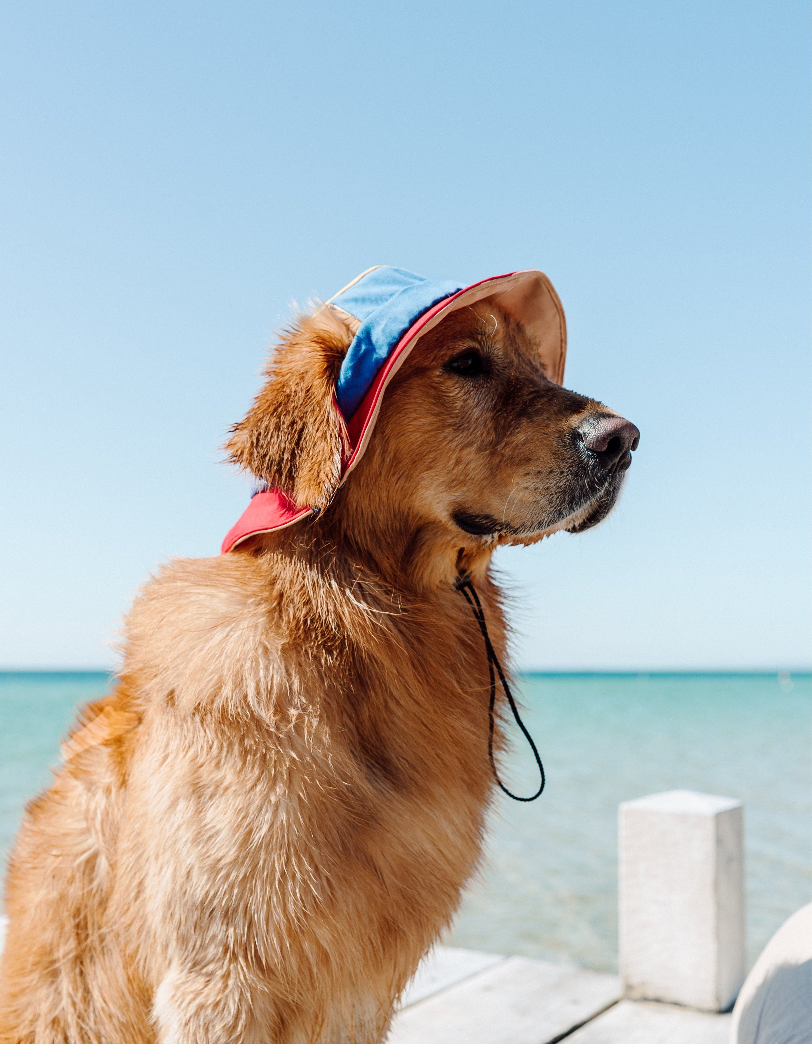 90s Colorblock Reversible Dog Bucket Hat