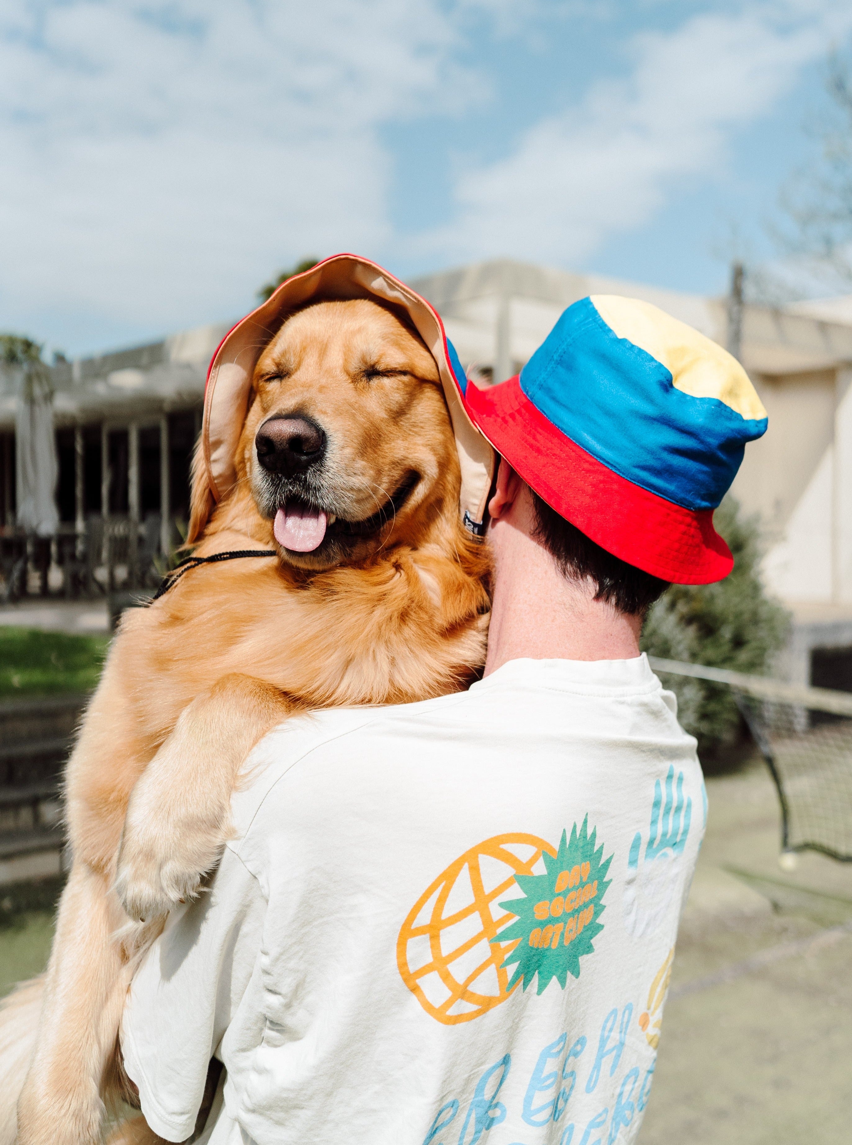 Dog baseball hotsell hats for humans