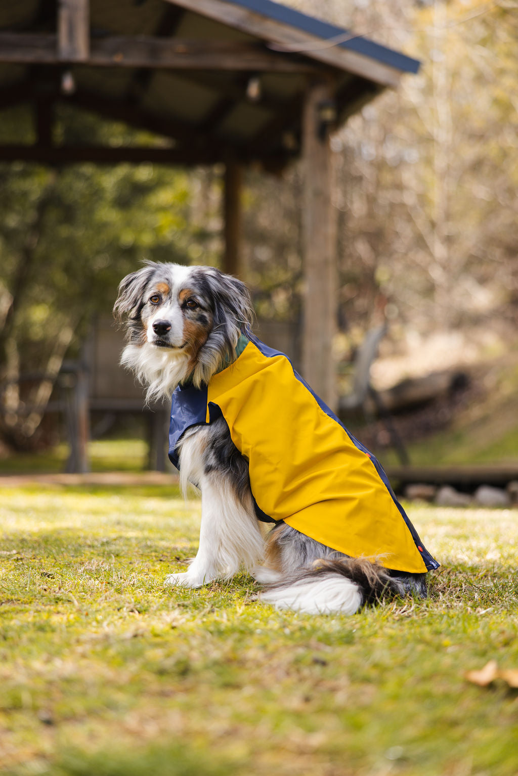 Colorblock Waterproof Dog Raincoat
