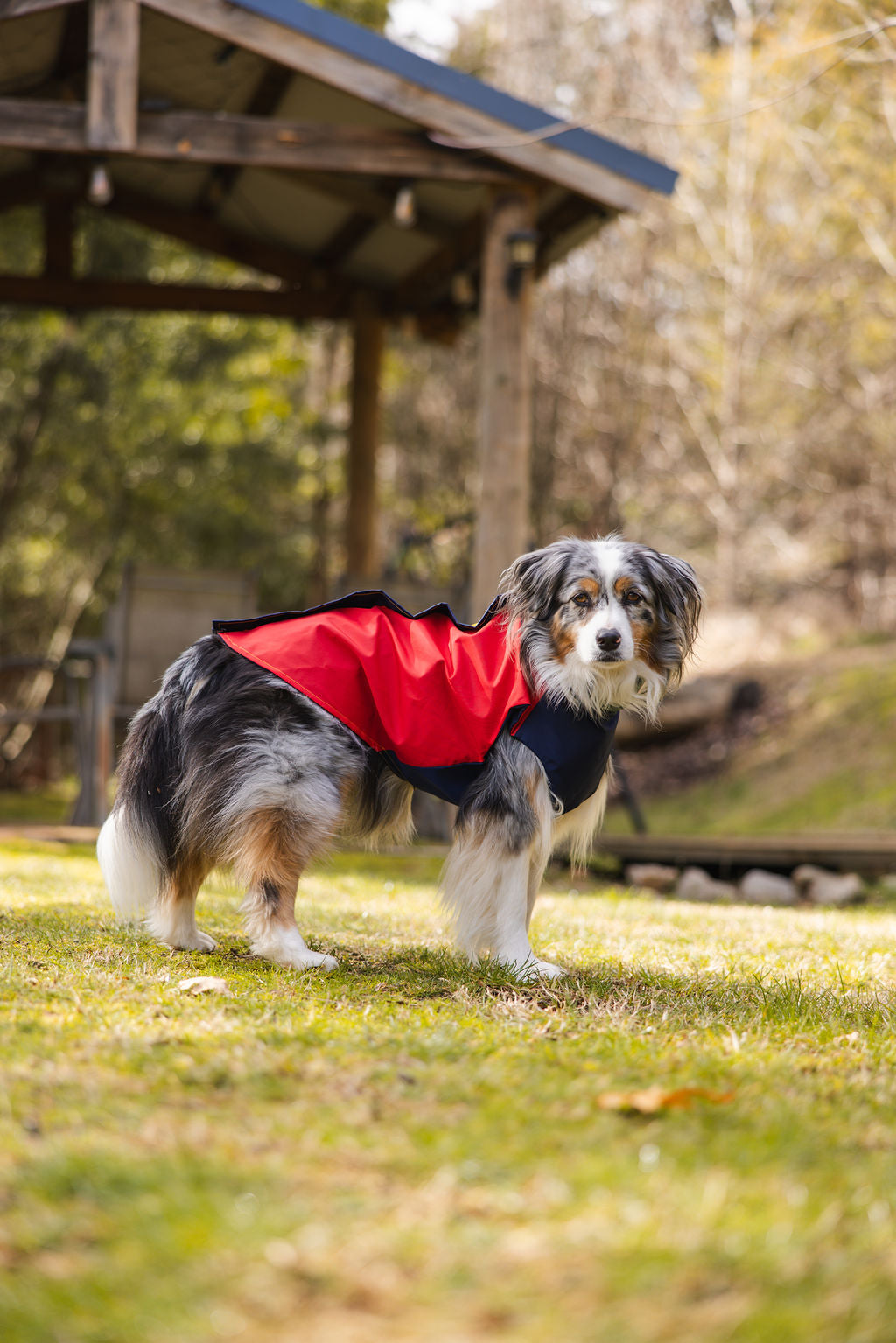 Colorblock Waterproof Dog Raincoat