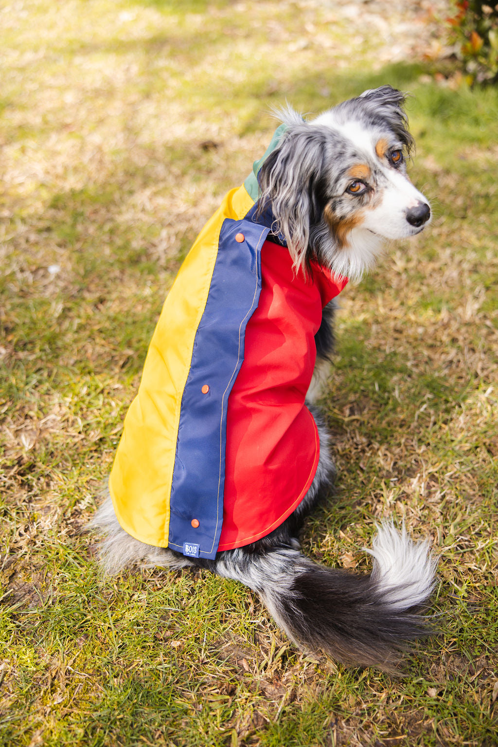 Colorblock Waterproof Dog Raincoat