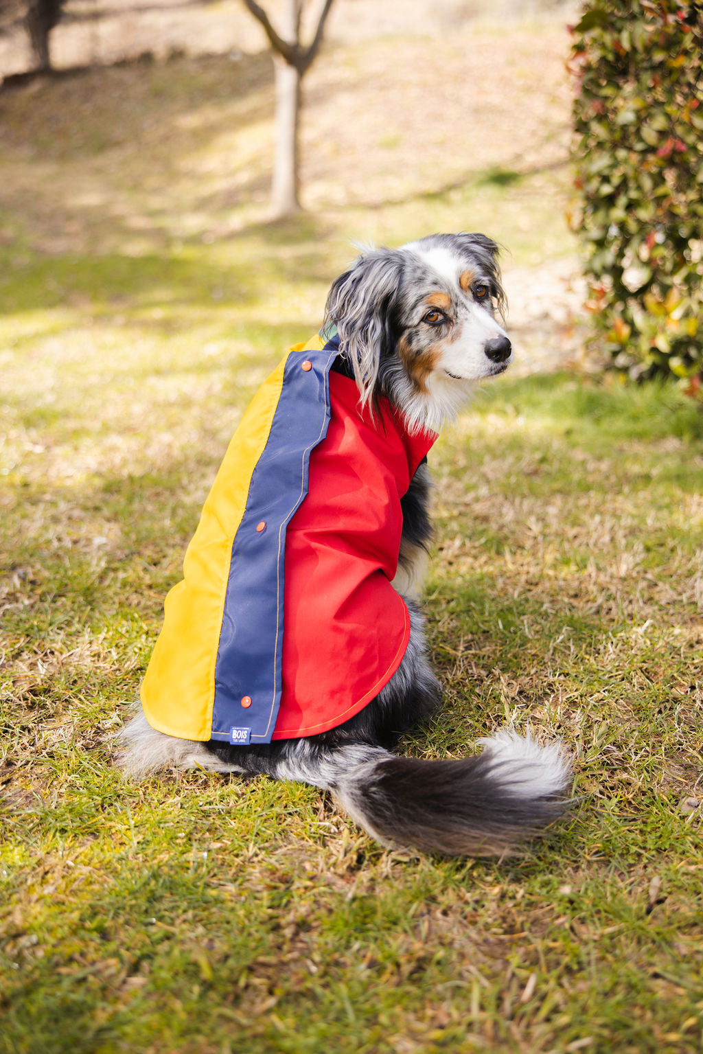 Colorblock Waterproof Dog Raincoat