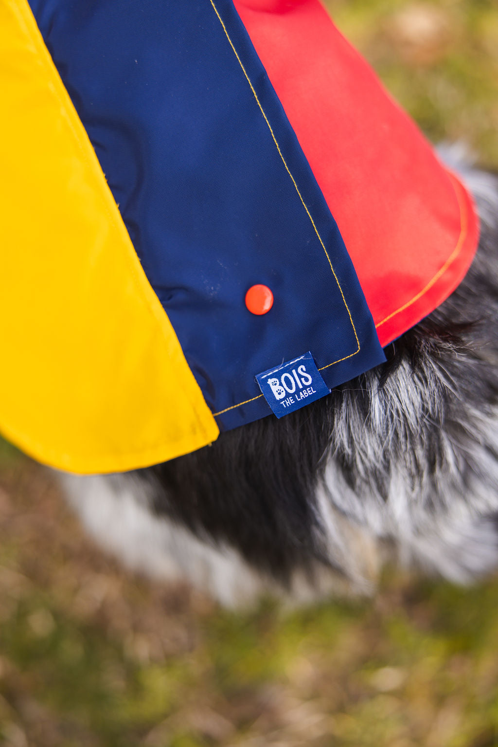 Colorblock Waterproof Dog Raincoat