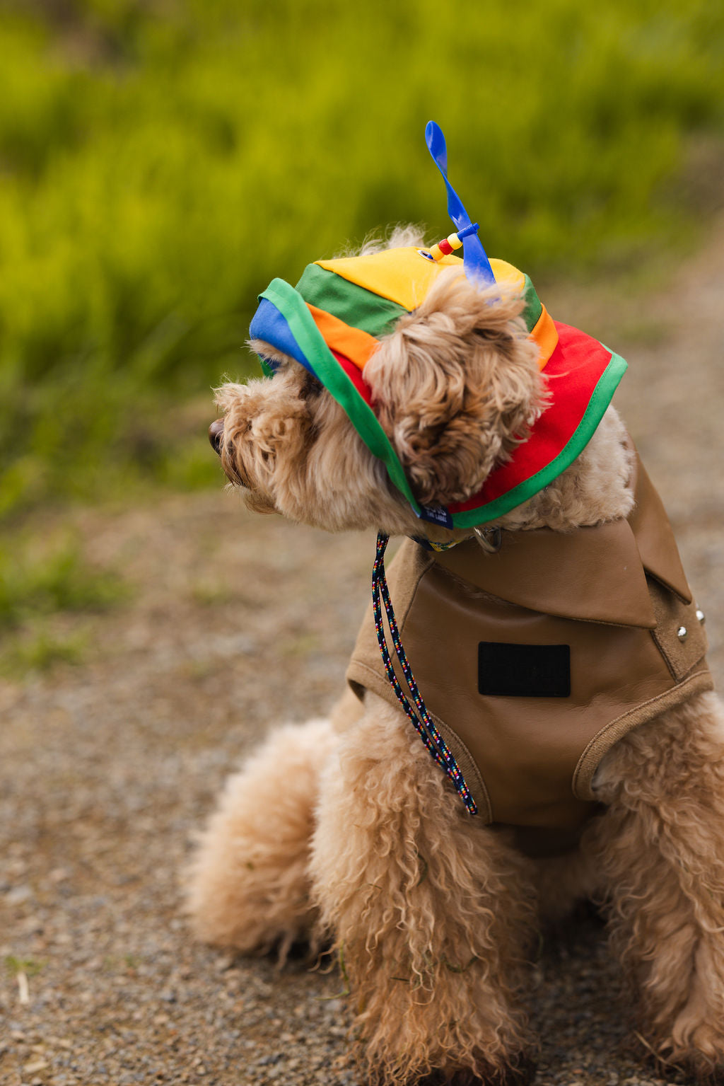 Retro Spinning Propeller Dog Bucket Hat