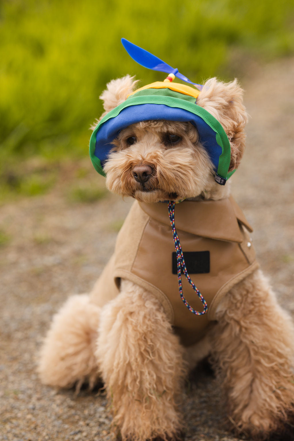 Retro Spinning Propeller Dog Bucket Hat