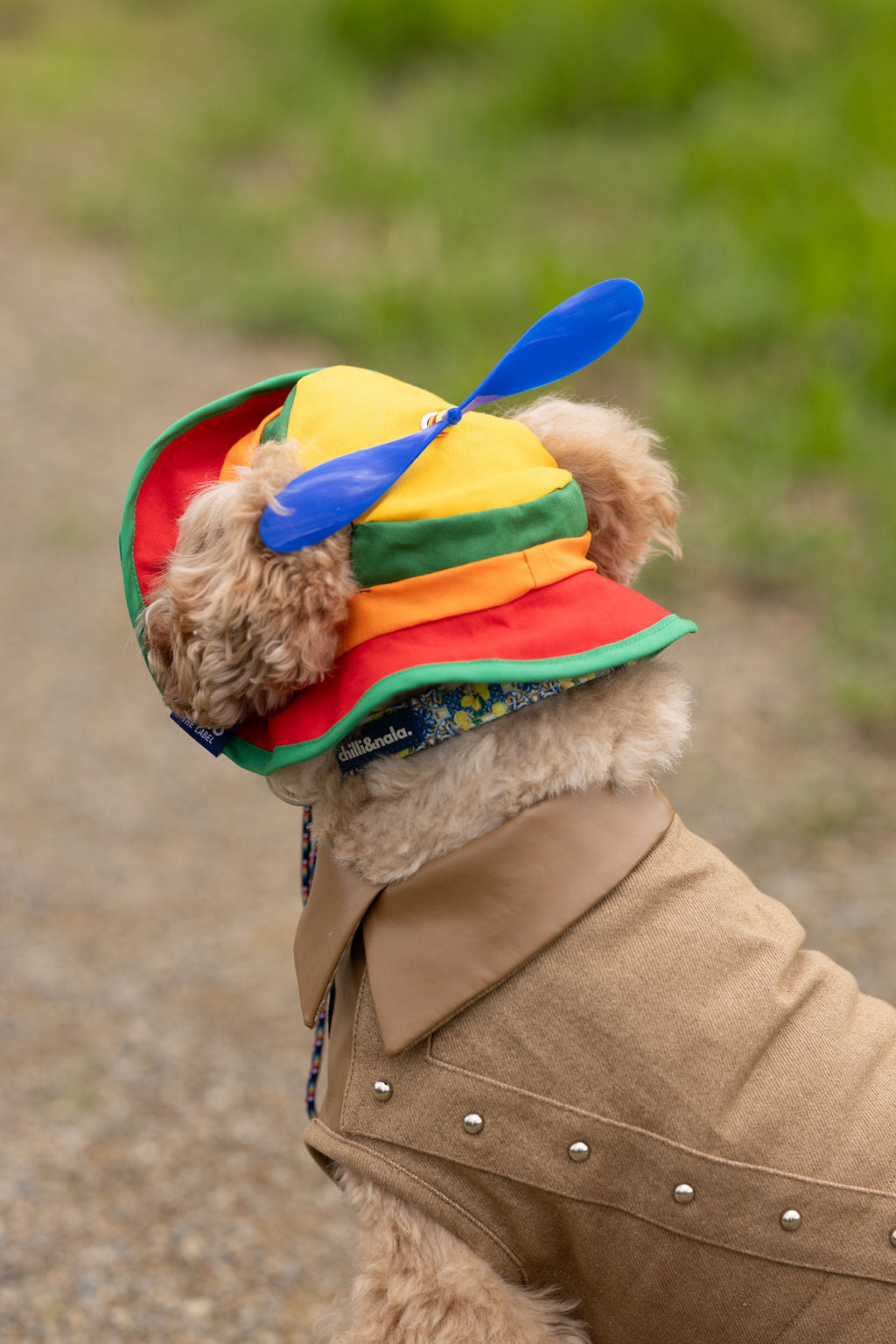 Matching Dog and Owner Retro Spinning Propeller Hats