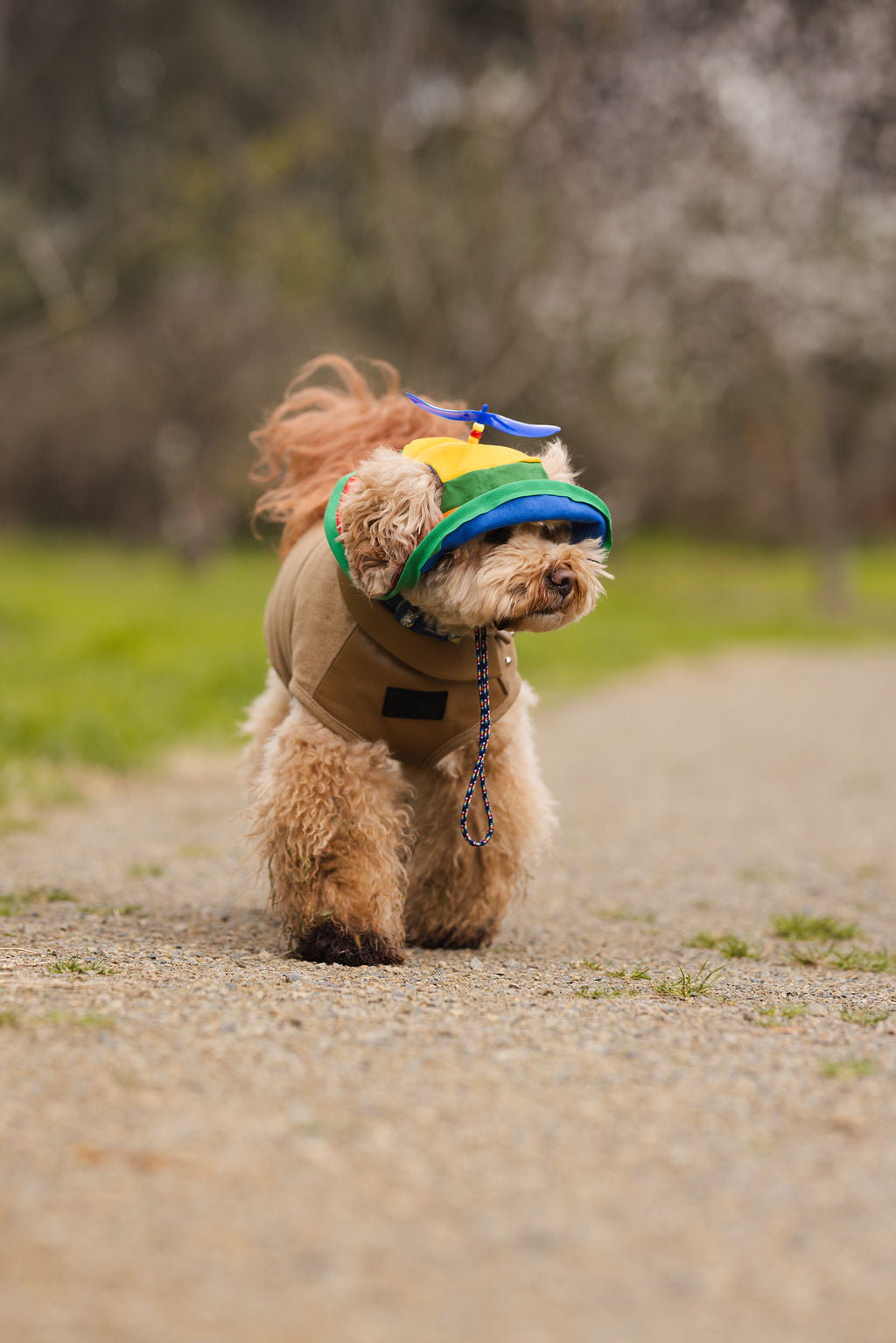 Retro Spinning Propeller Dog Bucket Hat