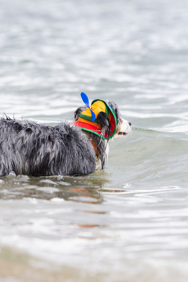 Retro Spinning Propeller Dog Bucket Hat