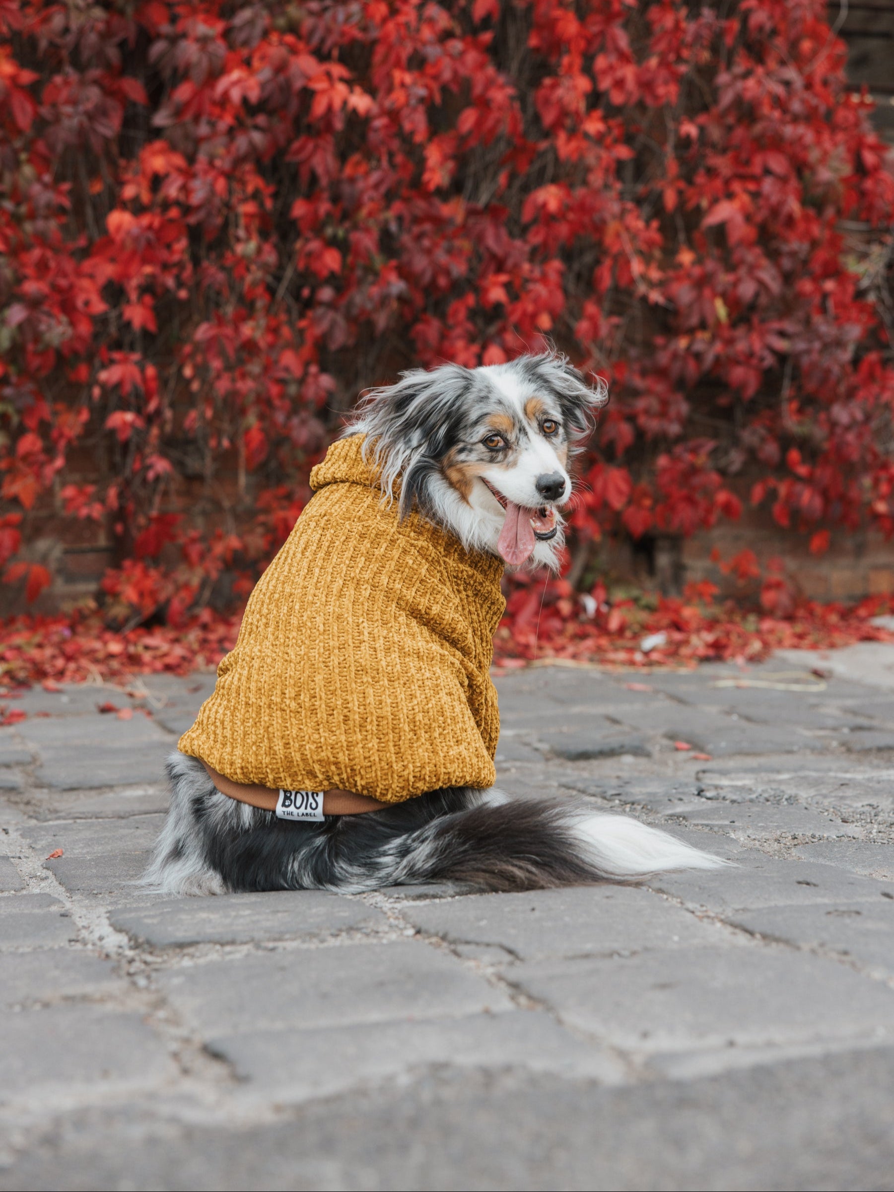 Honey Chenille Dog Turtleneck