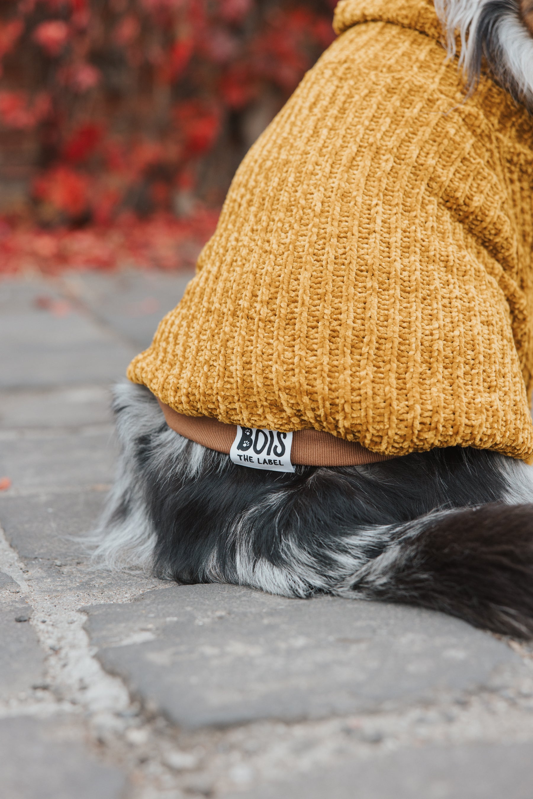 Honey Chenille Dog Turtleneck