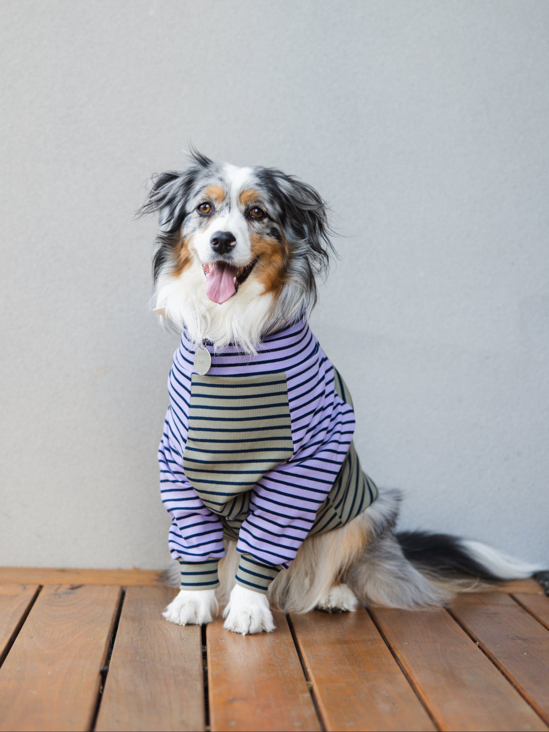 Stripes Galore Dog Turtleneck