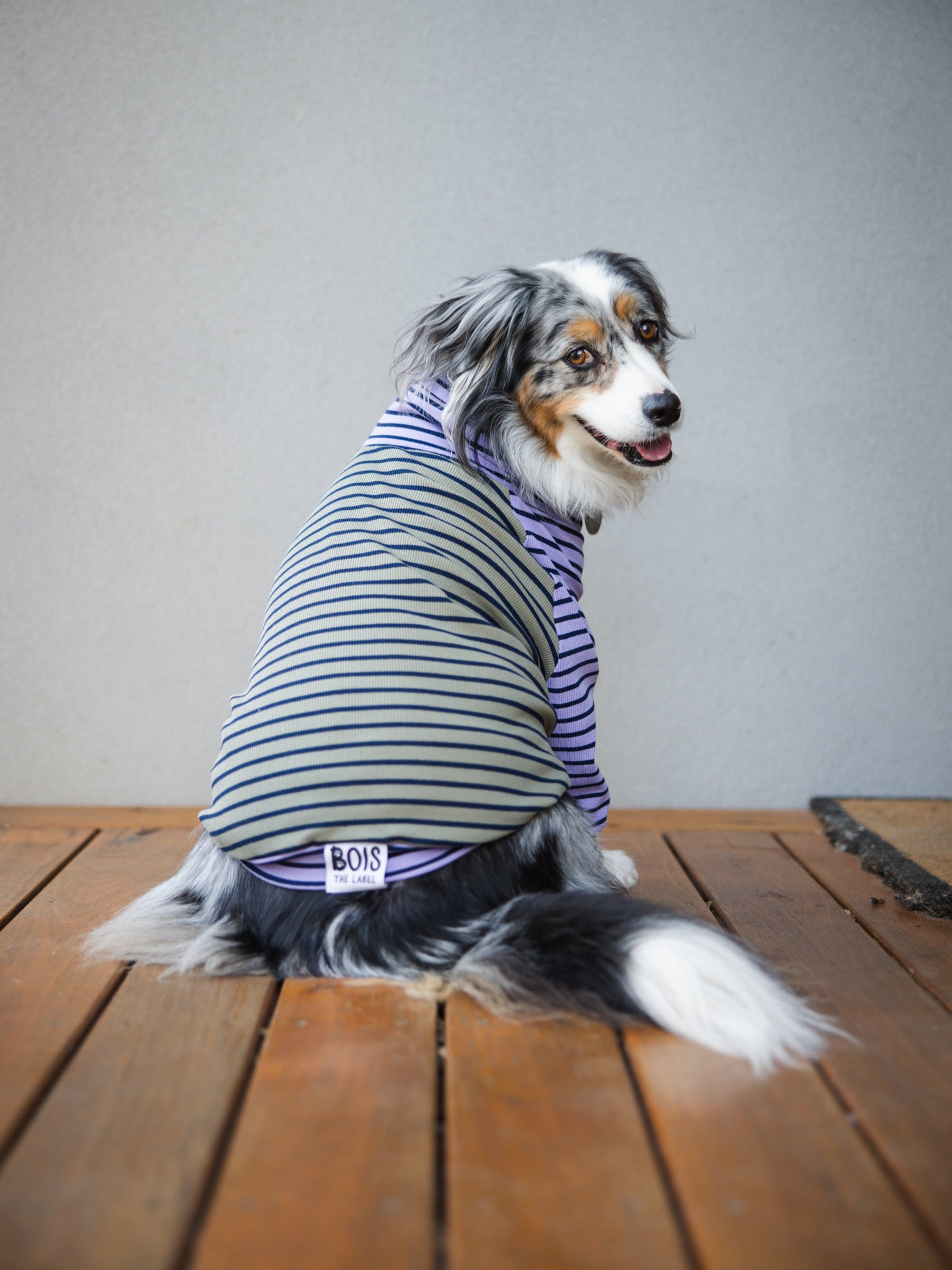 Stripes Galore Dog Turtleneck