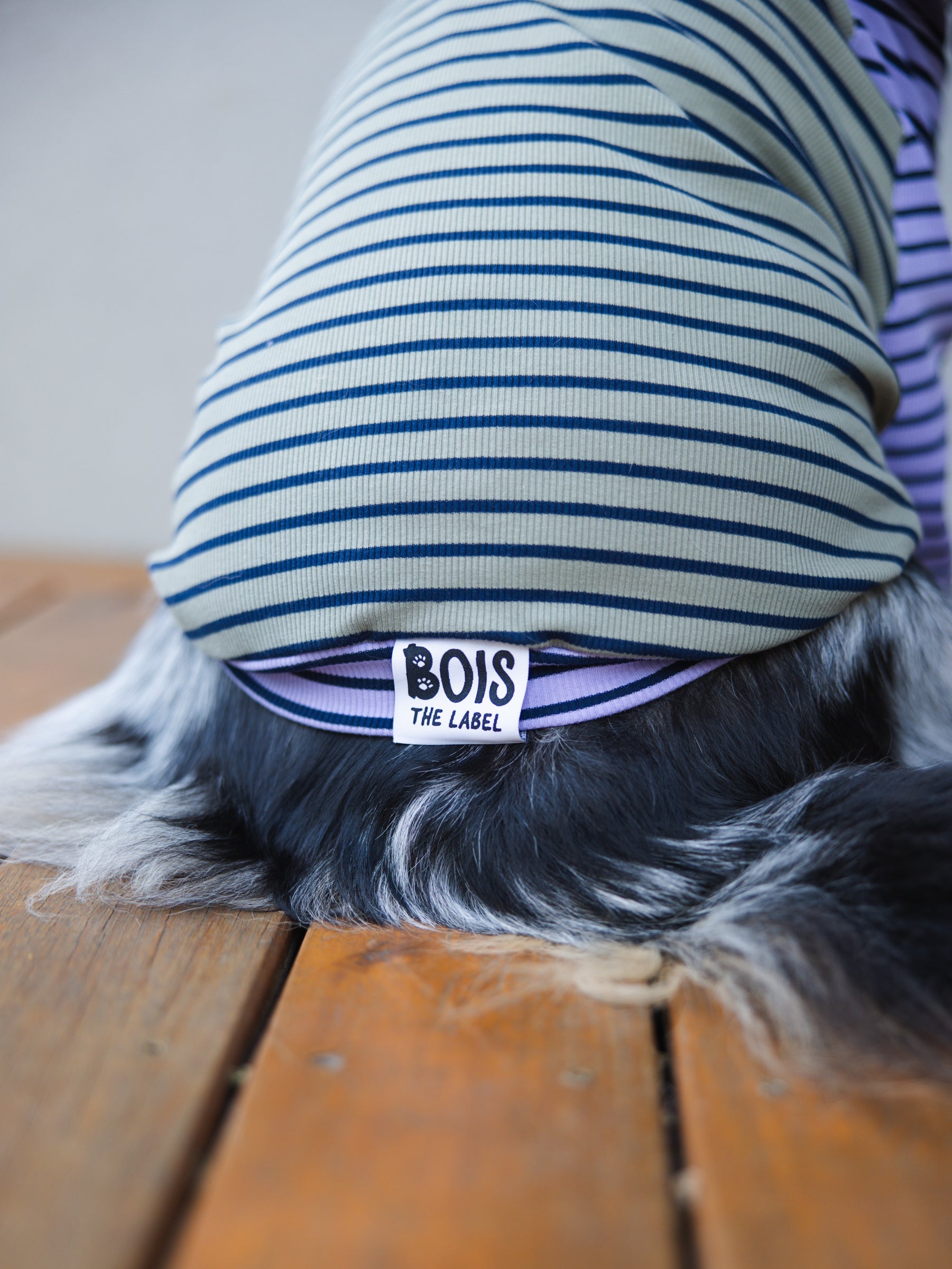 Stripes Galore Dog Turtleneck