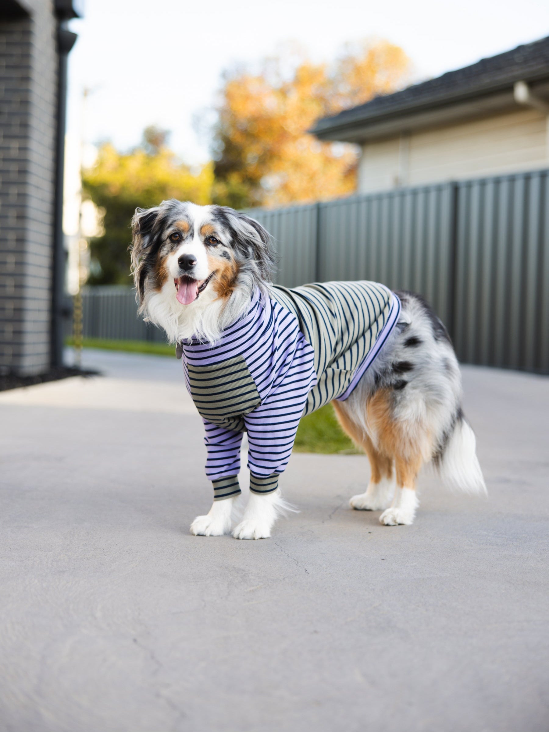 Stripes Galore Dog Turtleneck