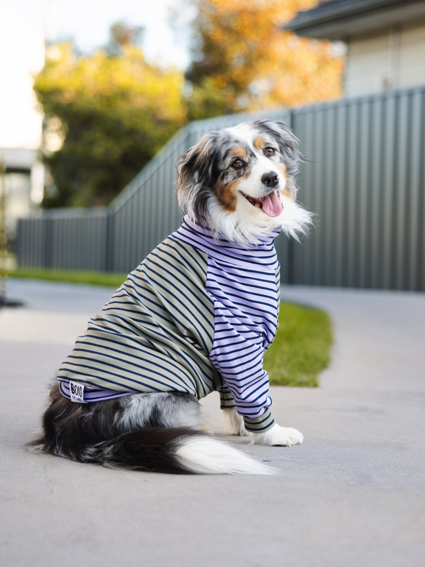 Stripes Galore Dog Turtleneck