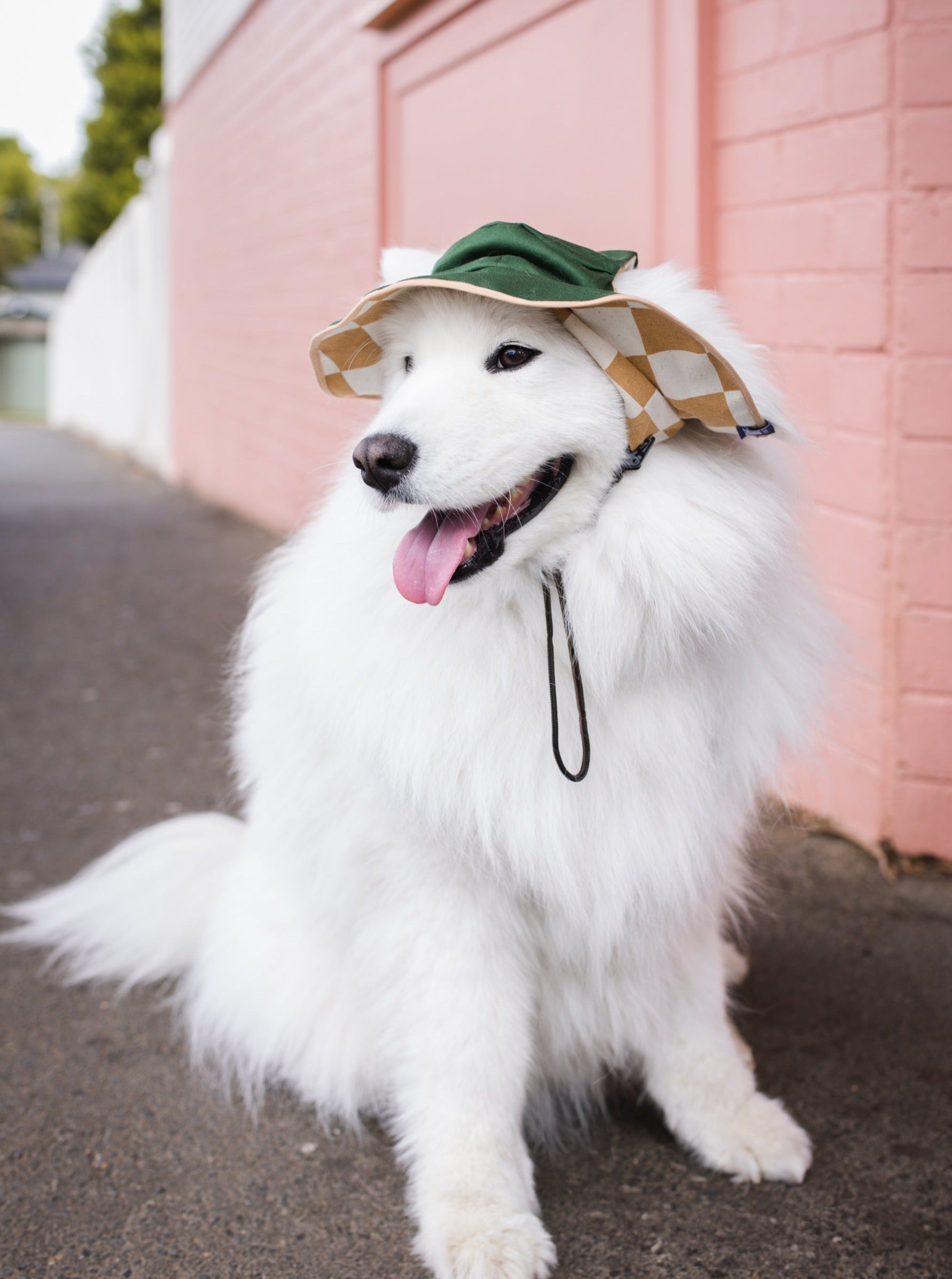 Checker Dog Reversible Bucket Hat