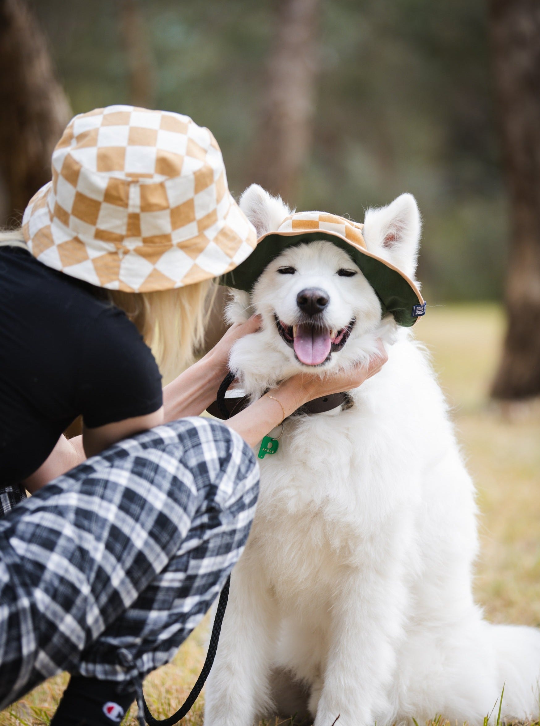 Matching Dog and Owner Checker Reversible Bucket Hats