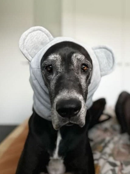 Koala Snood Dog Costume