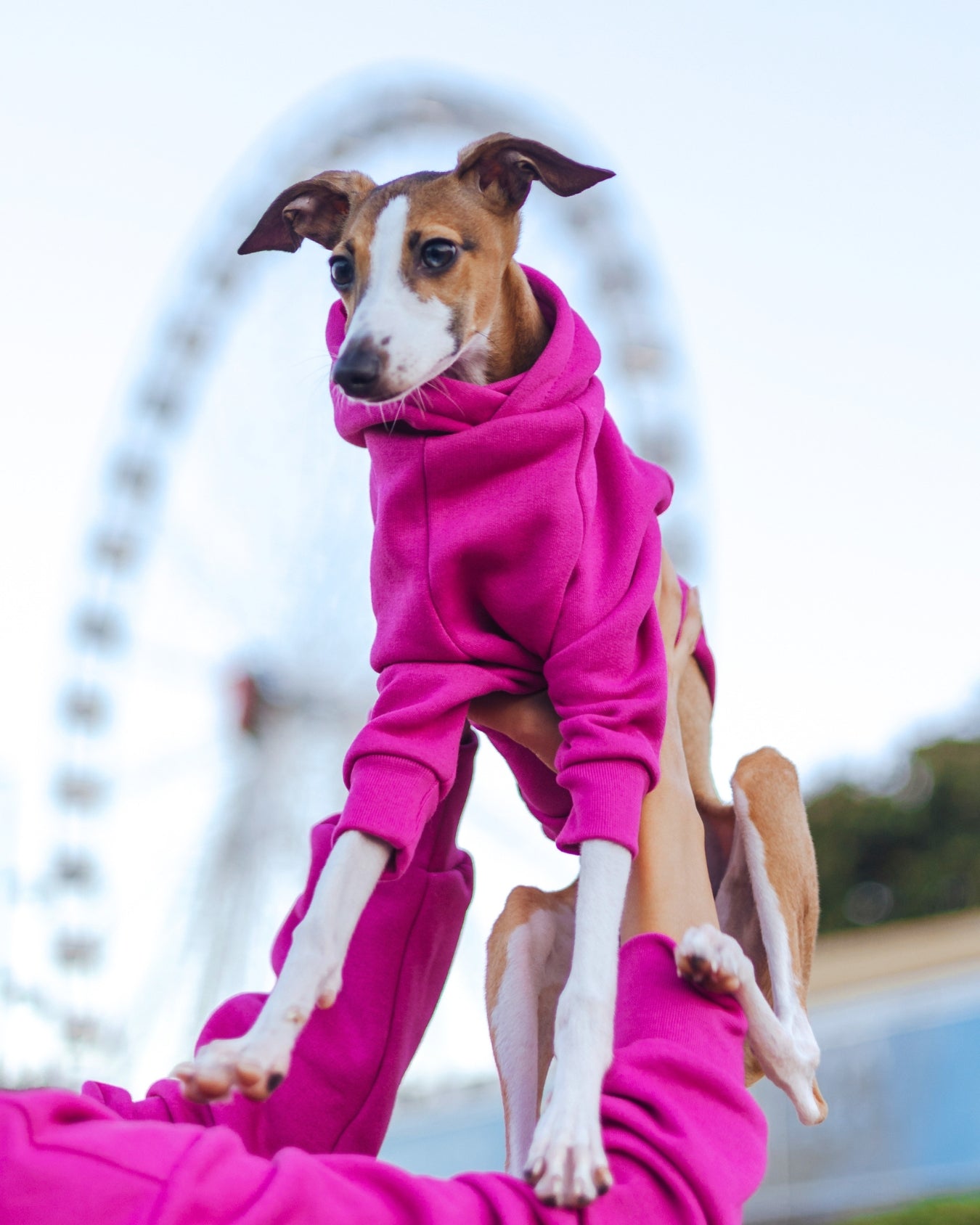 Dragonfruit Hoodie