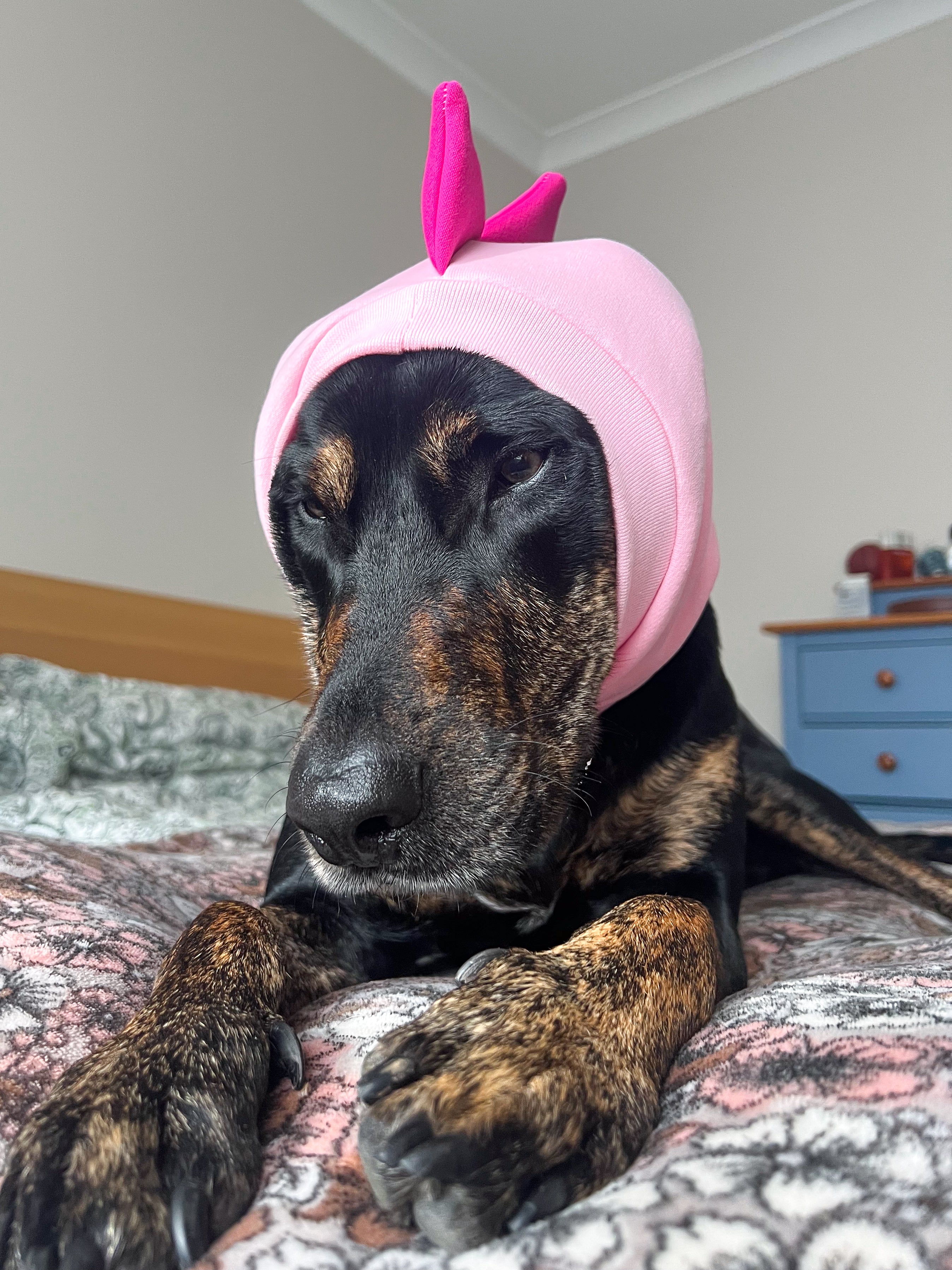 Pink Dinosaur Snood Dog Costume