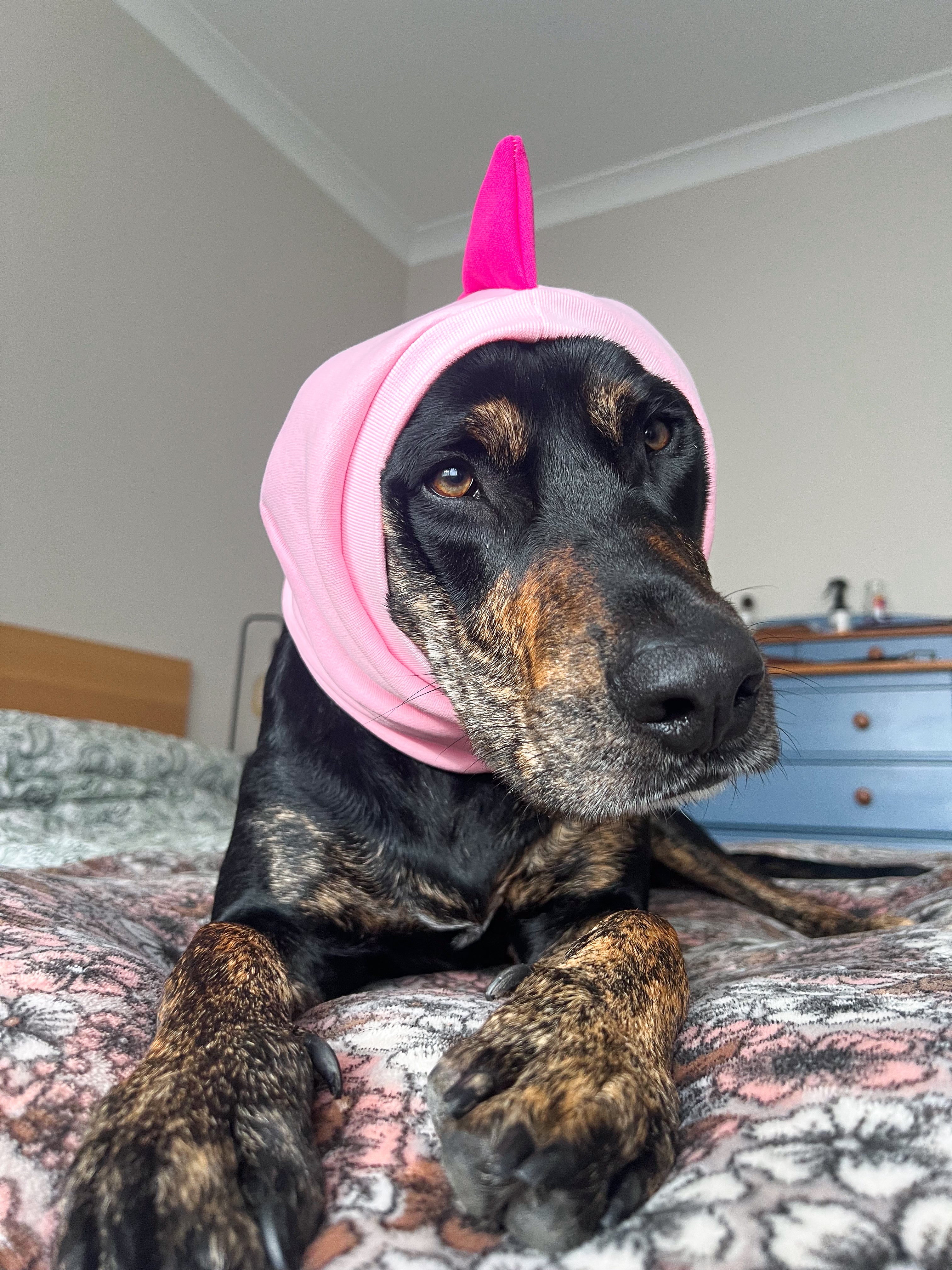 Pink Dinosaur Snood Dog Costume