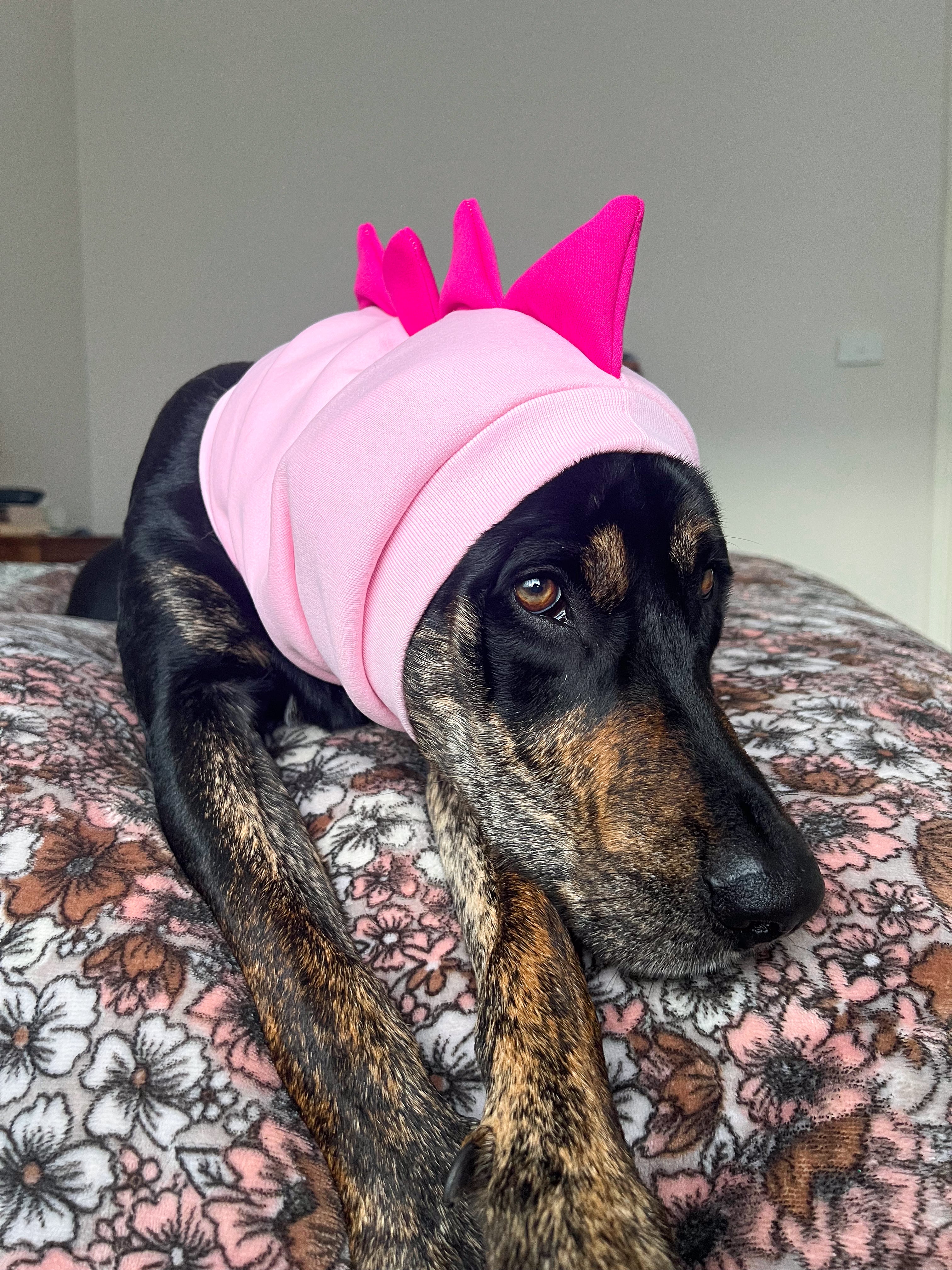 Pink Dinosaur Snood Dog Costume